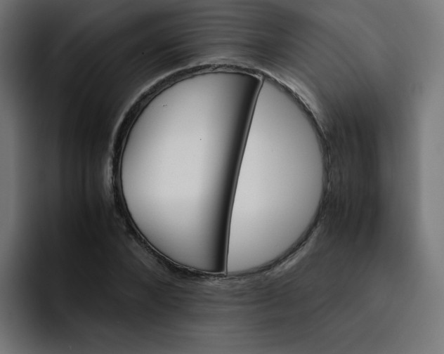 X0000093150880200710101133