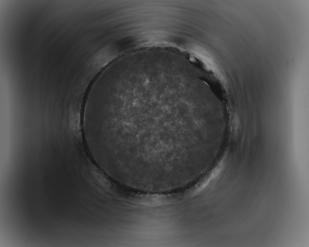 X0000093150881200710101133