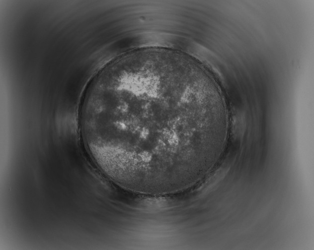 X0000093150882200710101133