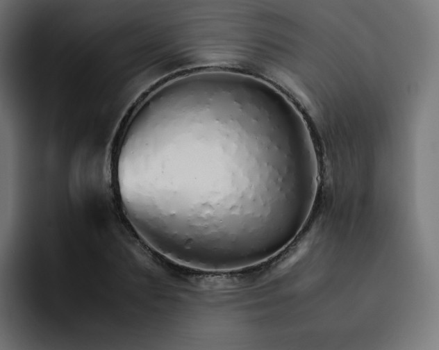 X0000093150883200710101133