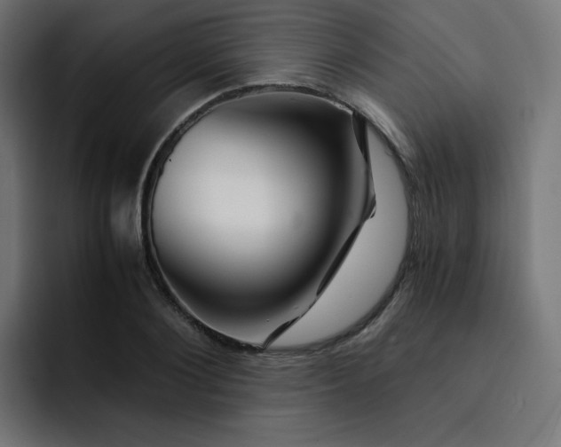 X0000093150884200710101133
