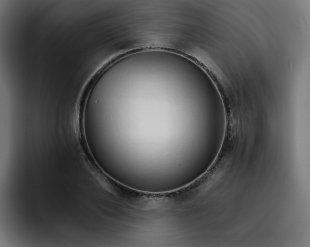 X0000093150886200710101133