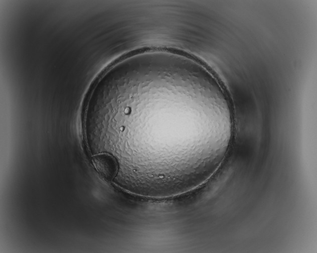 X0000093150887200710101133
