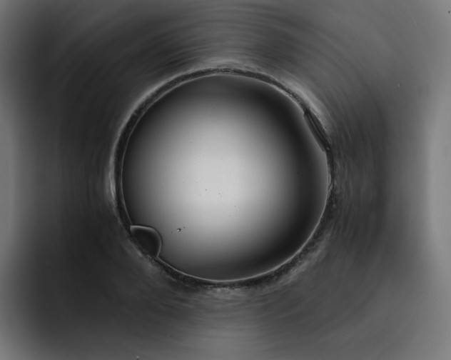 X0000093150888200710101133