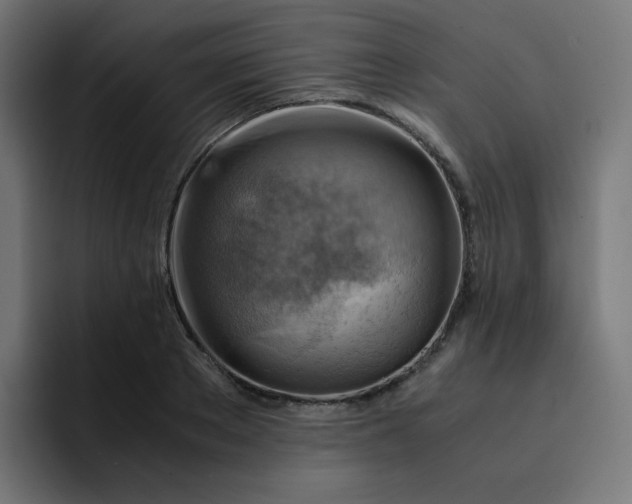 X0000093150889200710101133