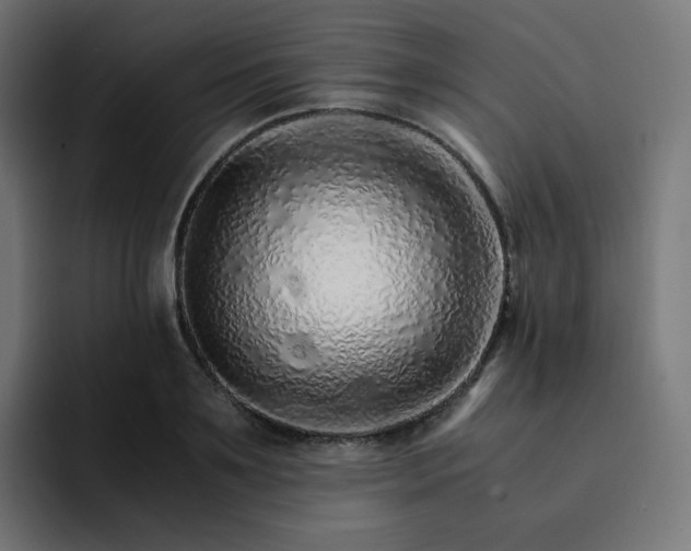 X0000093150891200710101133