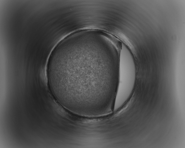 X0000093150892200710101133