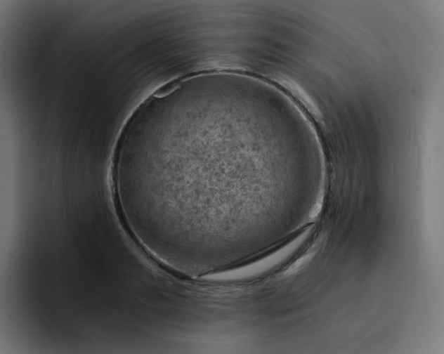 X0000093150893200710101133