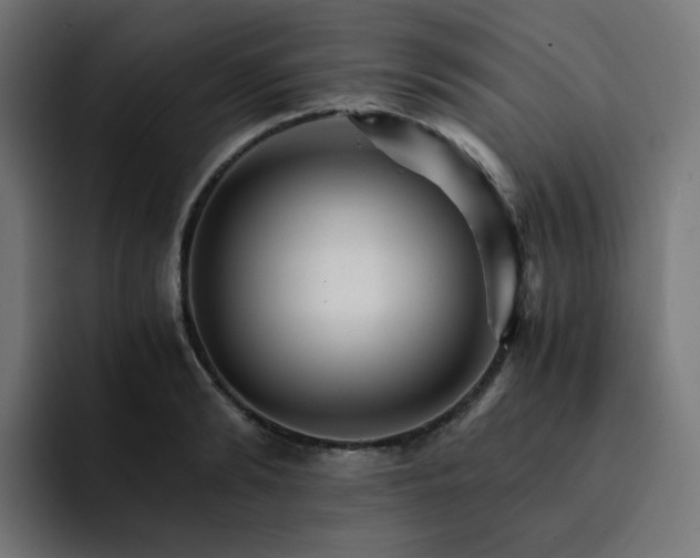 X0000093150894200710101133
