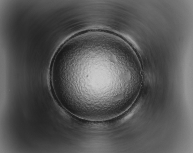 X0000093150895200710101133