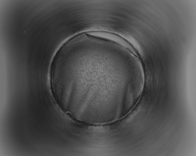 X0000093150896200710101133