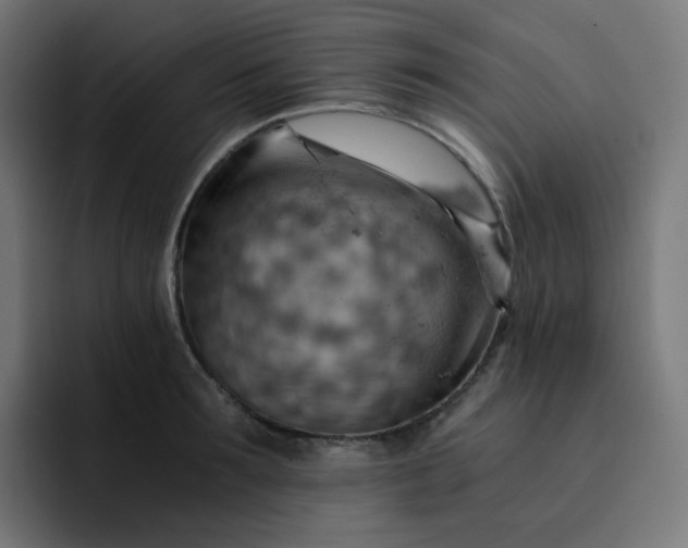 X0000093150899200710101133