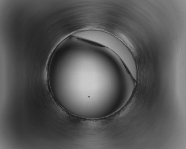 X0000093150900200710101133