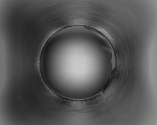 X0000093150901200710101133
