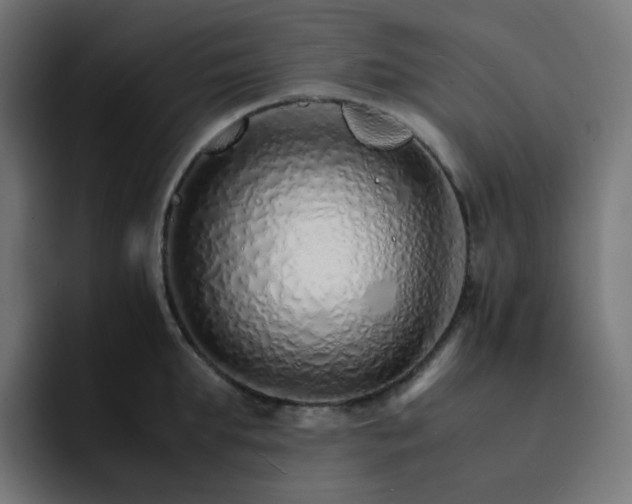 X0000093150903200710101133