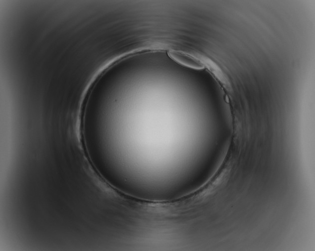X0000093150904200710101133