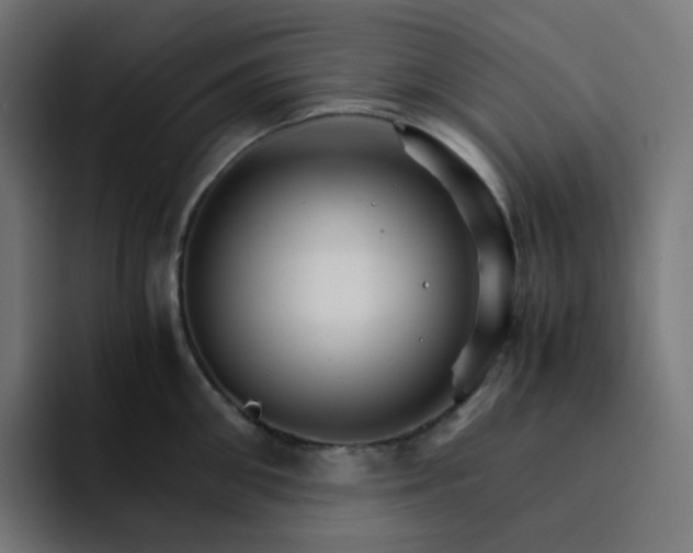 X0000093150906200710101133