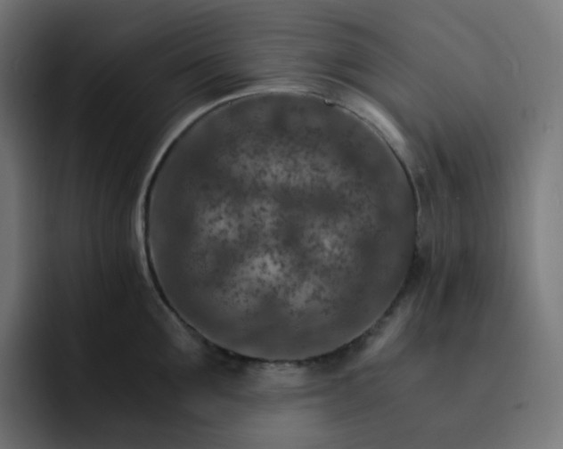 X0000093150907200710101133