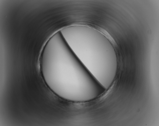 X0000093150908200710101133