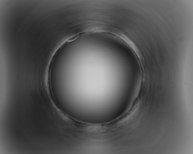 X0000093150909200710101133