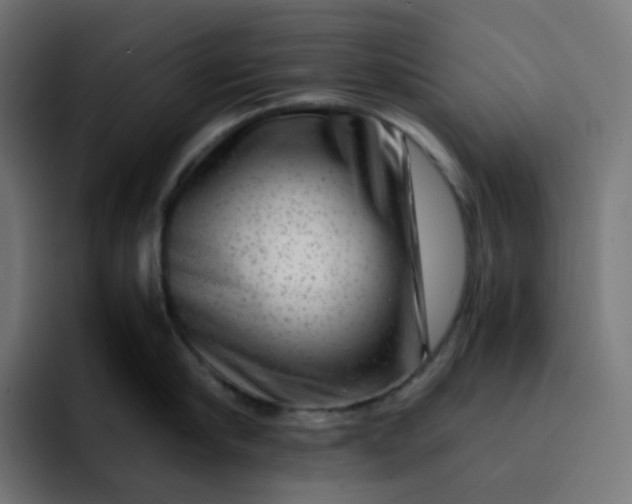 X0000093150910200710101133