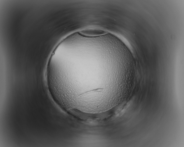 X0000093150911200710101133