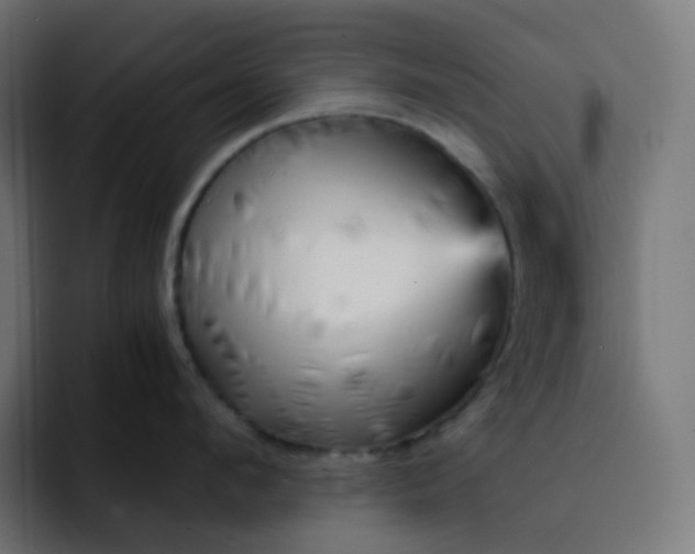 X0000093150912200710101133