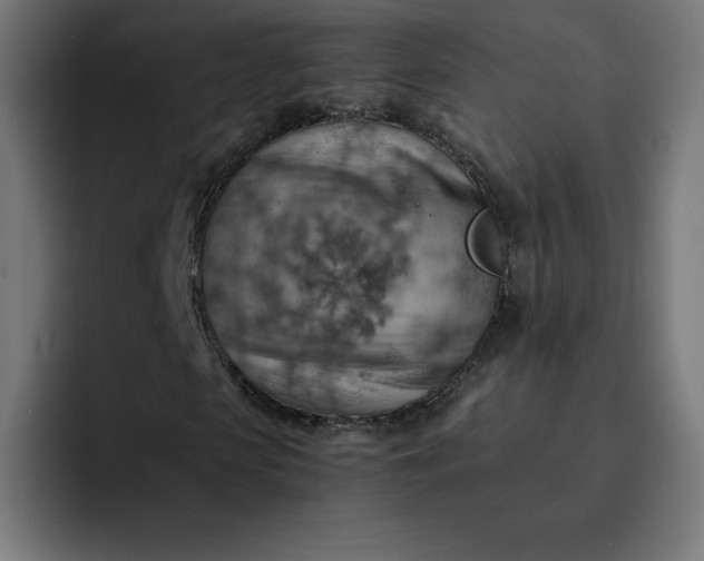 X0000093150913200710101132