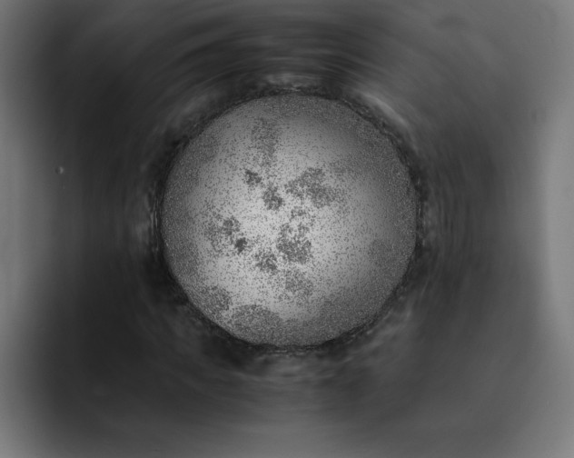 X0000093150917200710101132