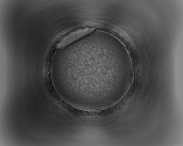 X0000093150920200710101133