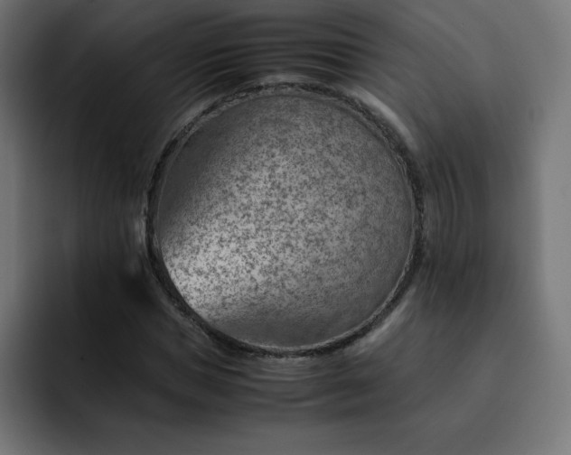 X0000093150921200710101133