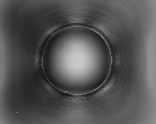 X0000093150922200710101133