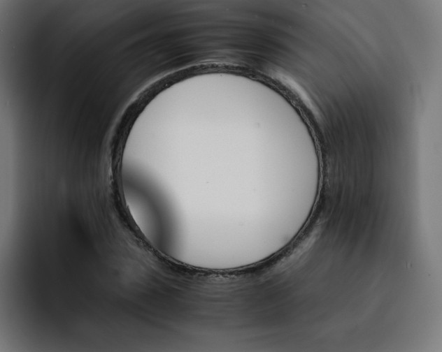 X0000093150923200710101133