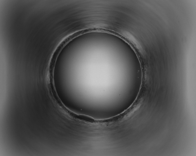 X0000093150924200710101133
