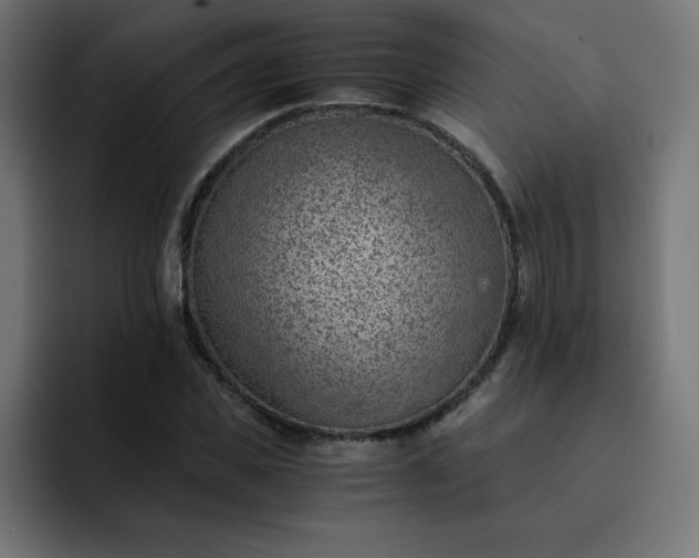 X0000093150925200710101133