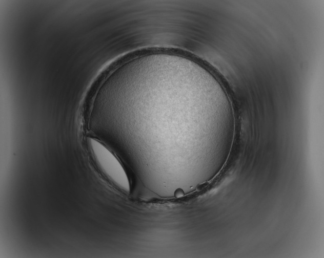 X0000093150926200710101133