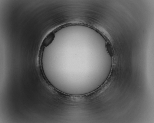 X0000093150928200710101133