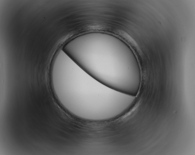 X0000093150930200710101133