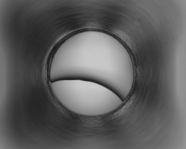 X0000093150931200710101133