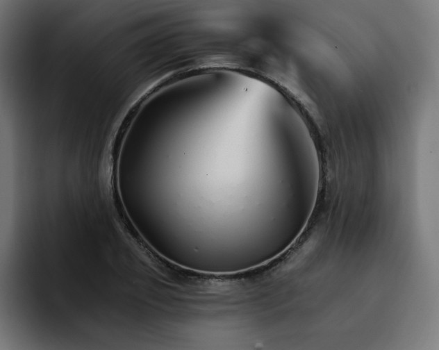 X0000093150933200710101133
