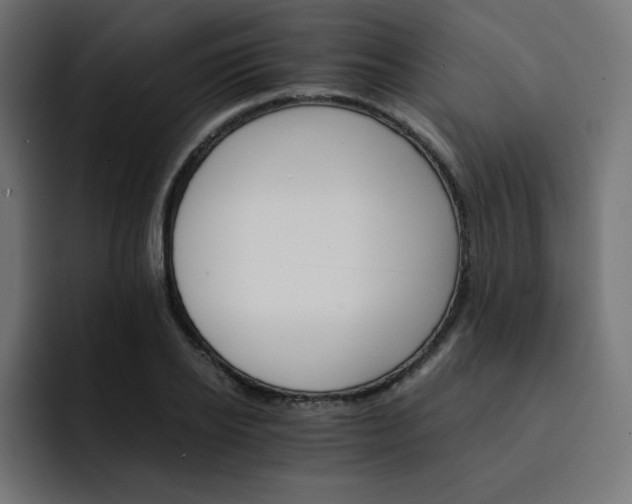 X0000093150934200710101133