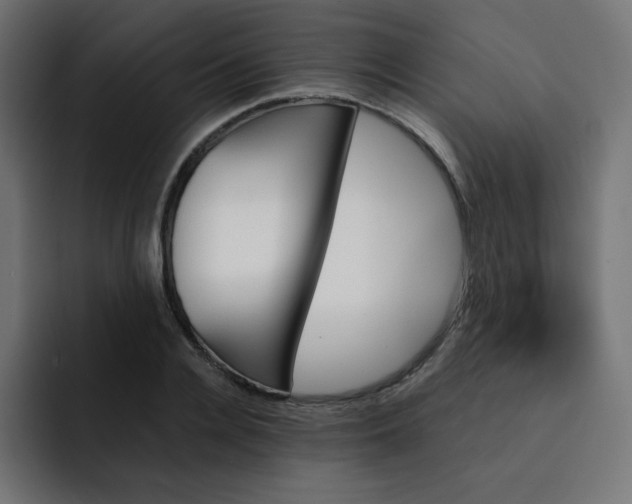 X0000093150936200710101133