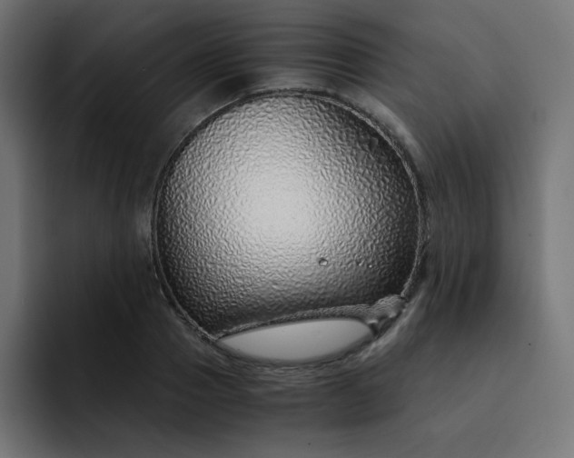 X0000093150937200710101133