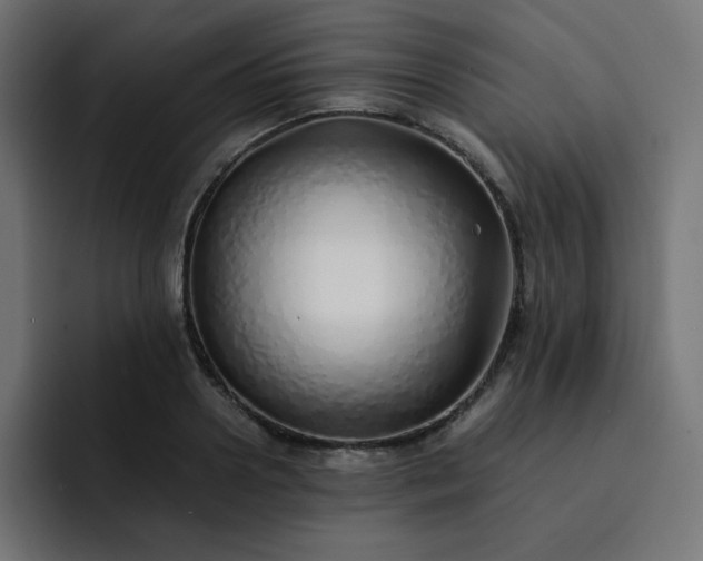 X0000093150938200710101133