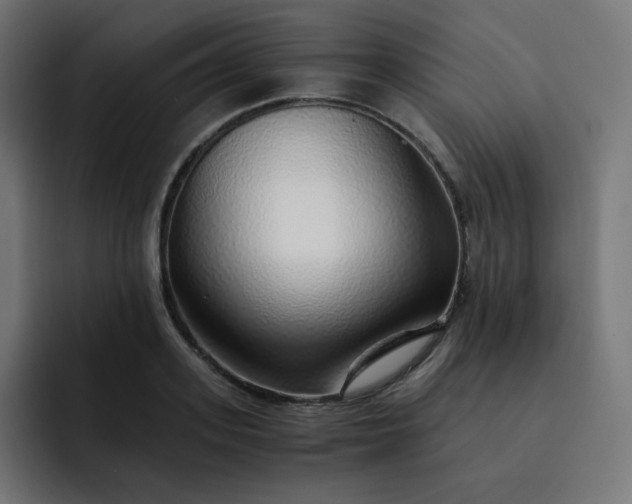 X0000093150939200710101133