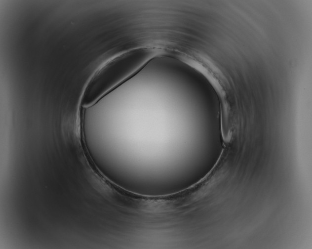 X0000093150940200710101133