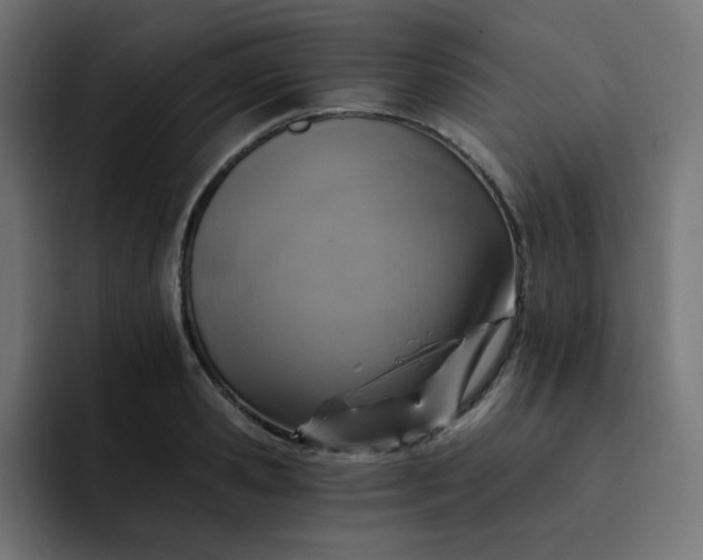 X0000093150941200710101133
