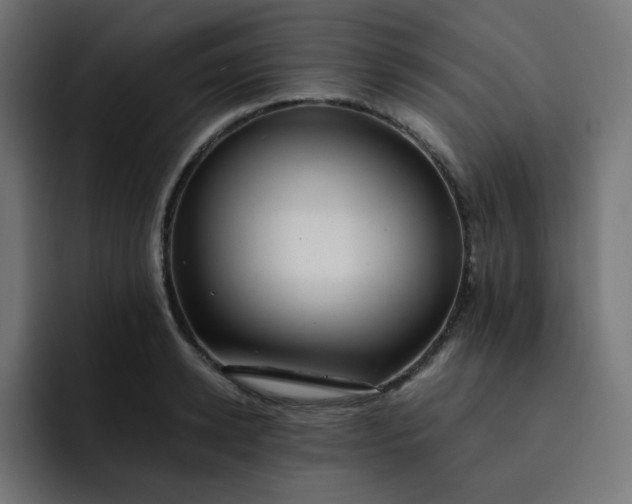 X0000093150942200710101133
