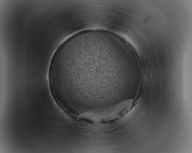 X0000093150943200710101133