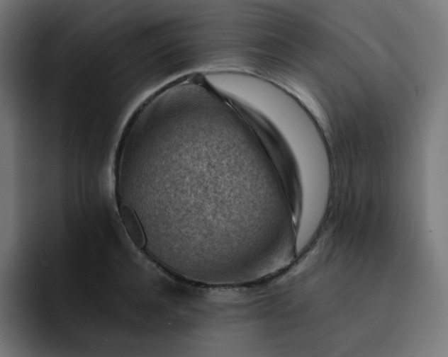 X0000093150944200710101133
